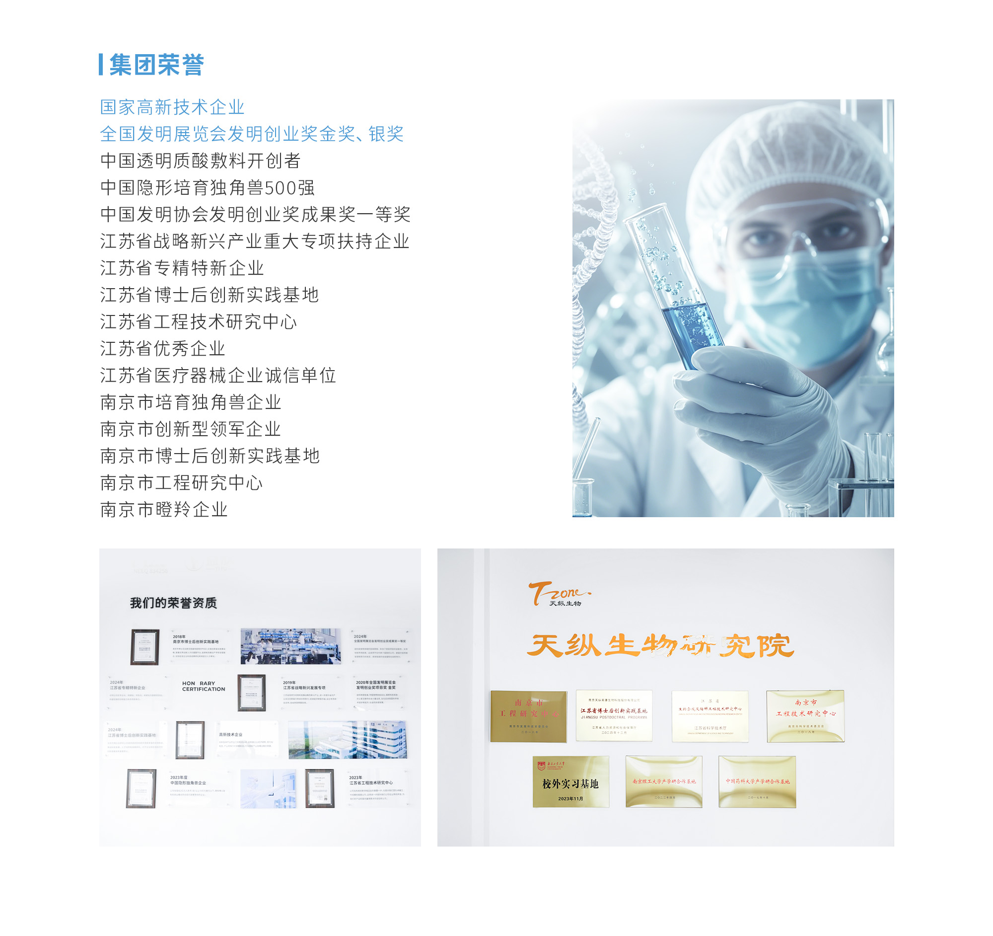 集团荣誉